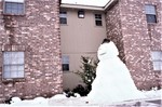 Student's Snowman Winter of 1999